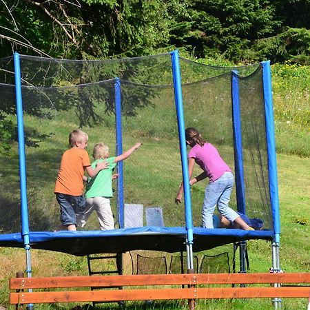 Pension Renata Harrachov Zewnętrze zdjęcie