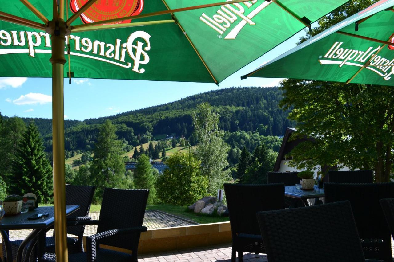 Pension Renata Harrachov Zewnętrze zdjęcie